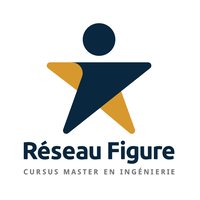 réseau figure