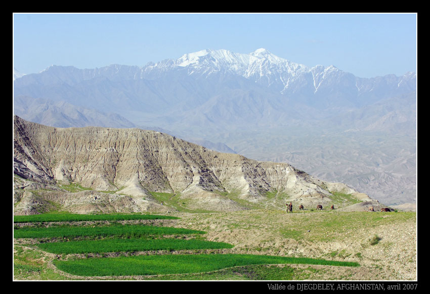 UZBEEN DJEGDELEY 268