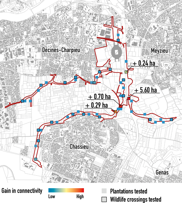 illustration thèse tarabon