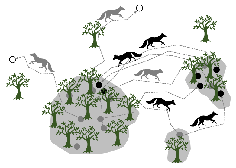 illustration graphe mouvement