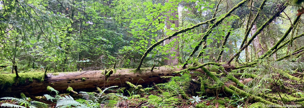 Bandeau paysage et cadre de vie