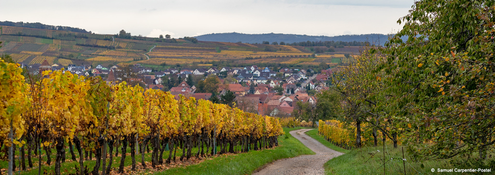 Bandeau évaluations