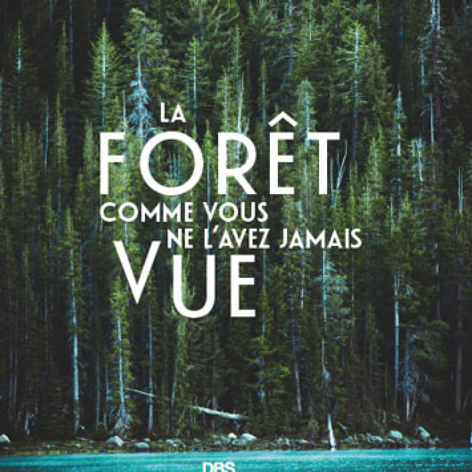 La forêt comme vous ne l'avez jamais vue. Damien Marage co-signe un ouvrage aux Editions DeBoeck